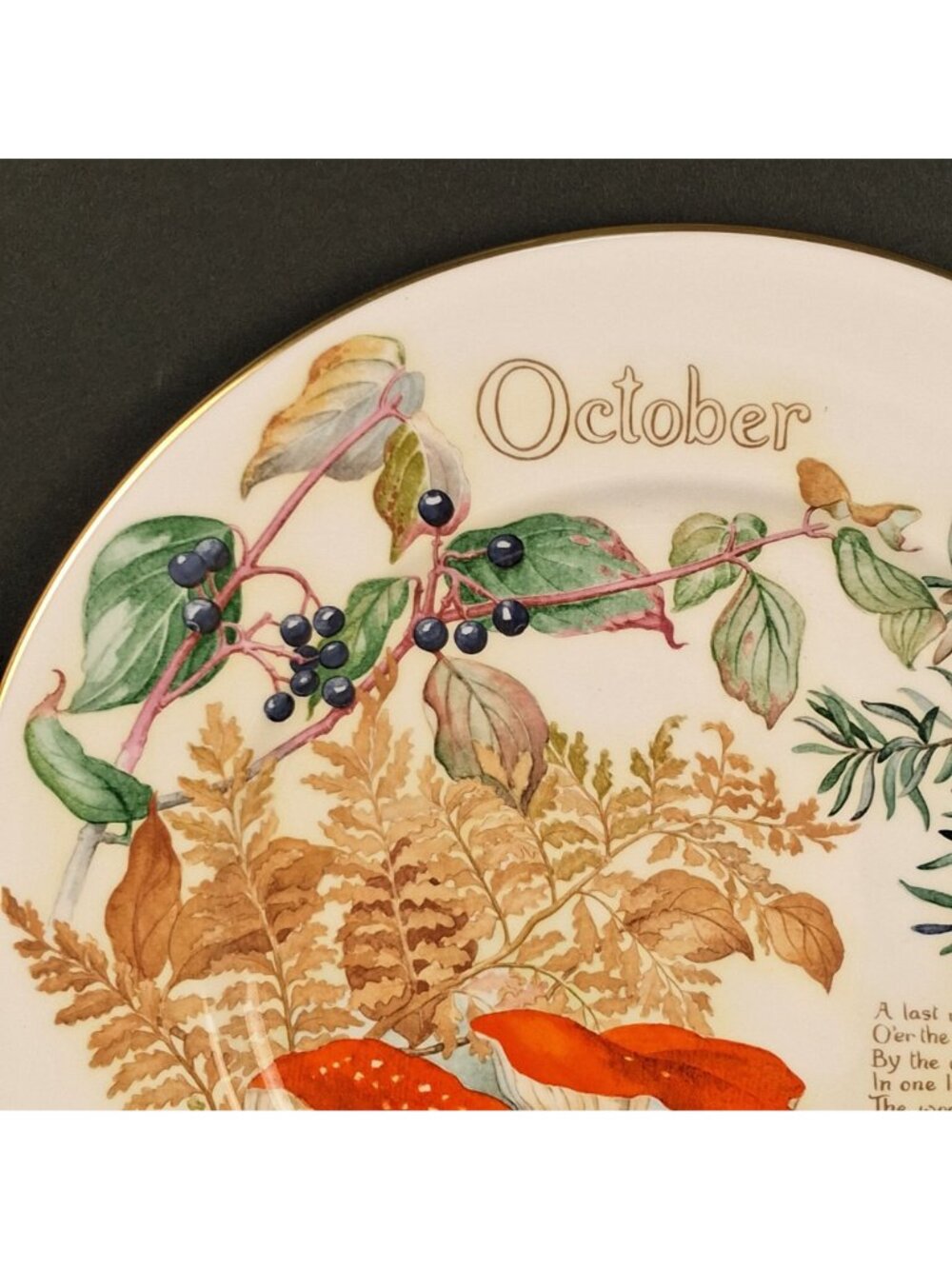 Caverswall Calendar Plates the Country Diary of An Edwardian Lady - Mushroom & - Picture 8 of 11